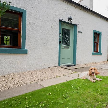 Tig Cottage - A Rural, Quirky, Pet Friendly 2 Bedroom Cottage Near Ballantrae Bagian luar foto