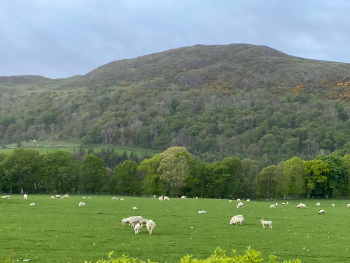 Tig Cottage - A Rural, Quirky, Pet Friendly 2 Bedroom Cottage Near Ballantrae Bagian luar foto