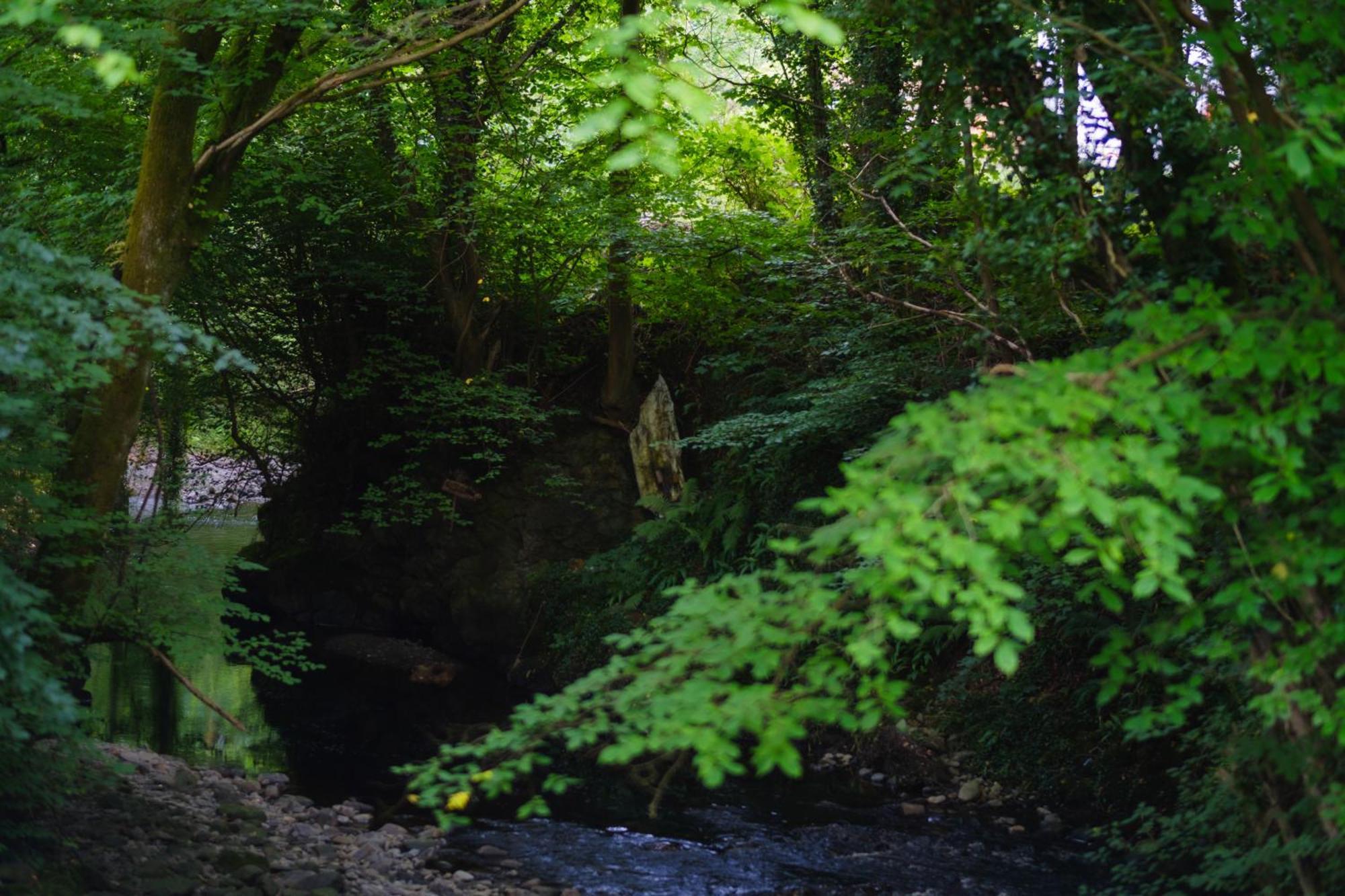 Tig Cottage - A Rural, Quirky, Pet Friendly 2 Bedroom Cottage Near Ballantrae Bagian luar foto