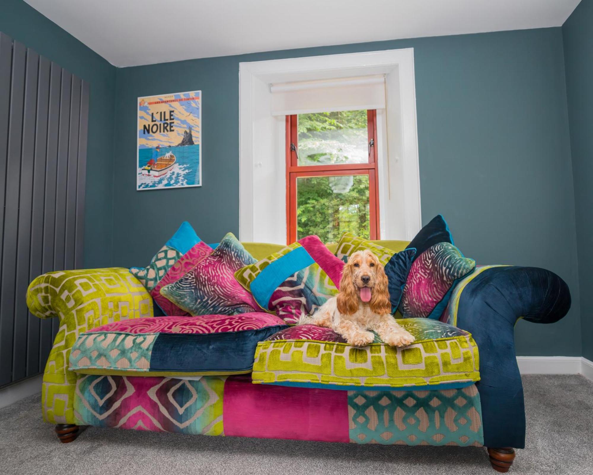 Tig Cottage - A Rural, Quirky, Pet Friendly 2 Bedroom Cottage Near Ballantrae Bagian luar foto