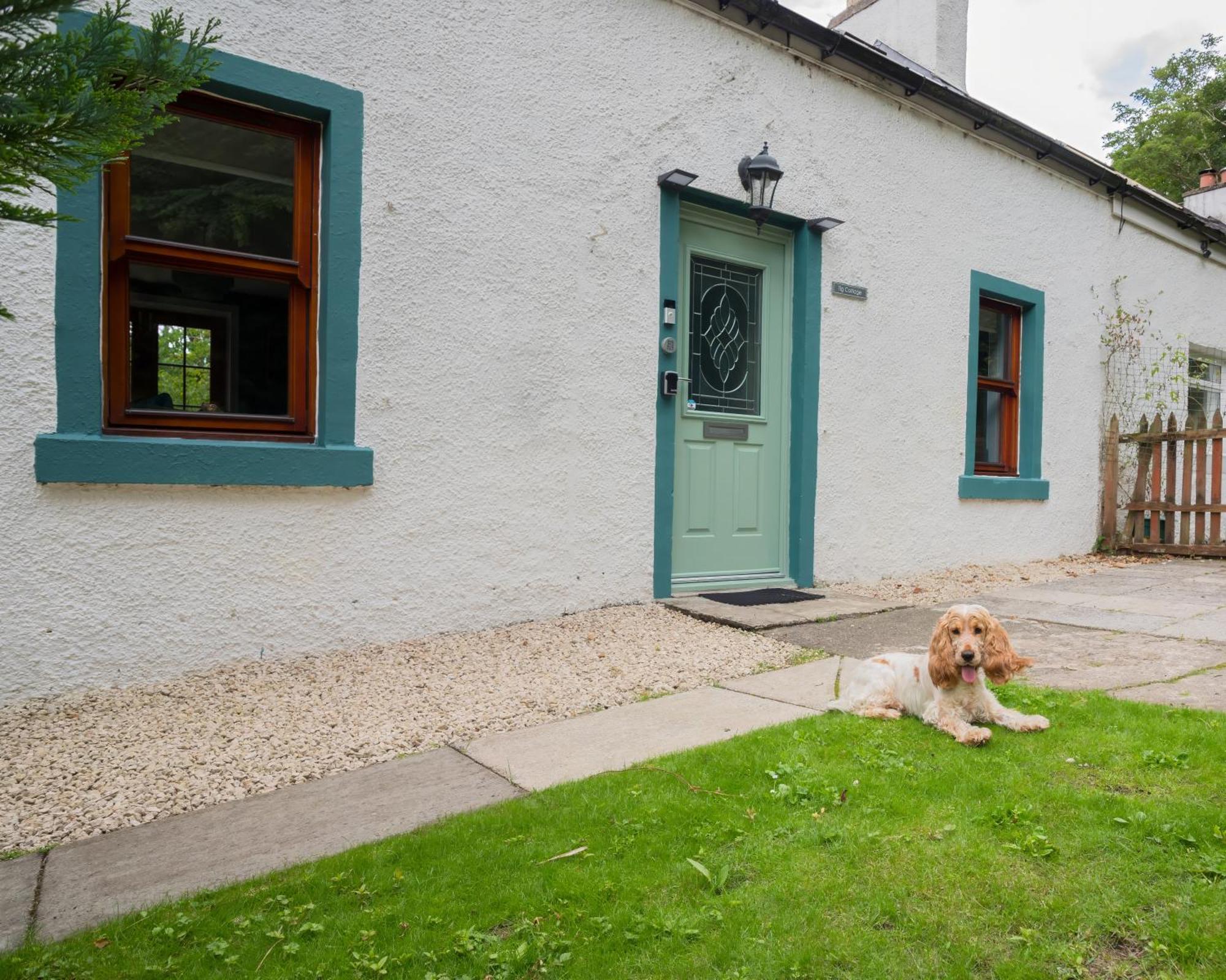 Tig Cottage - A Rural, Quirky, Pet Friendly 2 Bedroom Cottage Near Ballantrae Bagian luar foto
